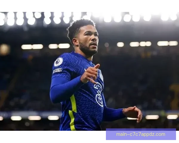 切尔西签里斯詹姆斯六年新篇